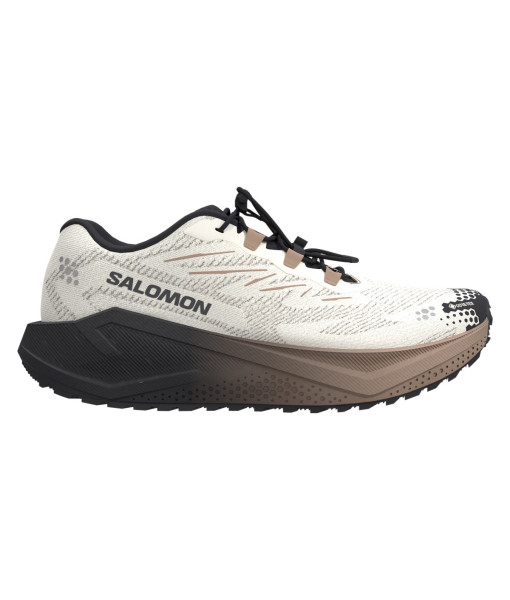 Salomon Aero Blaze 4 GRVL GTX Homme, Vanille/Noir