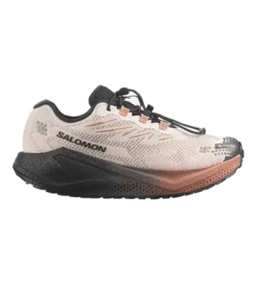 Salomon Aero Blaze 4 GRVL GTX Femme, Rainy/Noir
