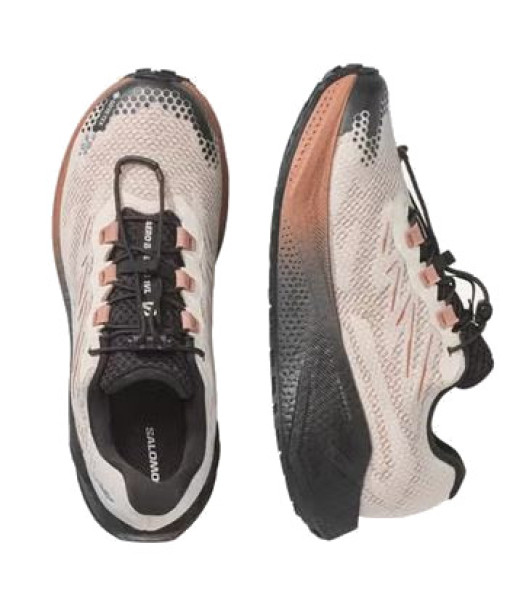Salomon Aero Blaze 4 GRVL GTX Femme, Rainy/Noir