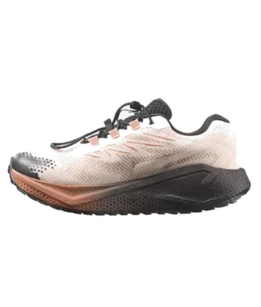 Salomon Aero Blaze 4 GRVL GTX Femme, Rainy/Noir