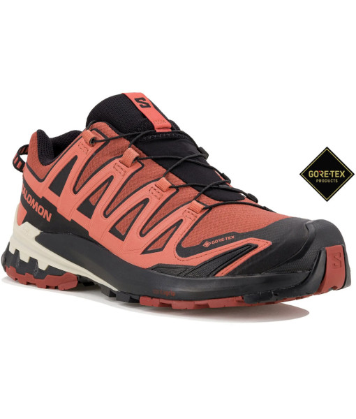 Salomon XA Pro 3D V9 GTX Femme, Cohide/Black/Faded Rose