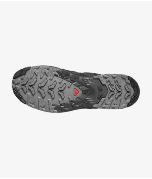 Salomon XA Pro V9 GTX, Homme, Noir/Fantome/Pewter