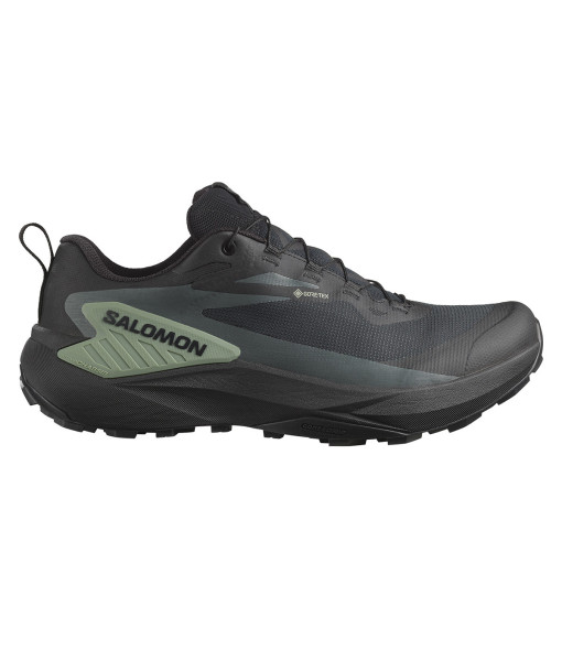 Salomon Genesis GTX Homme, Noir/Vert