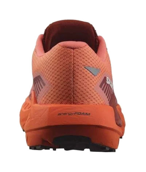 Salomon DRX DEFY GRVL Femme, Canyon Clay/Ginger/Fired Brick