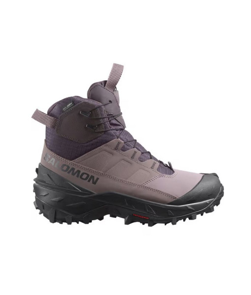 Salomon Crosstrak Powder WP Femme, Iron/Shark