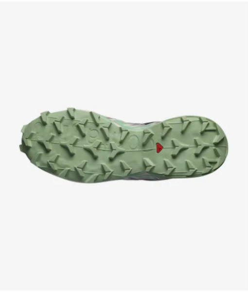Salomon Speedcross 6, Femme, Castle Rock/Vanille/vert