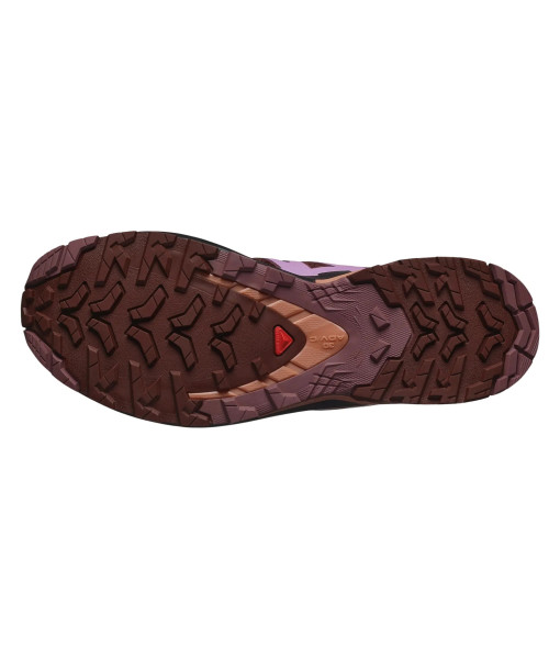 Salomon XA Pro 3D V9 Femme, Rum/Orchid/Clay