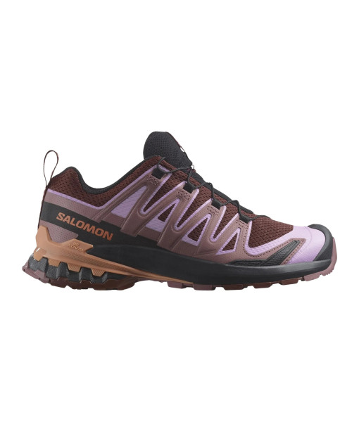 Salomon XA Pro 3D V9 Femme, Rum/Orchid/Clay