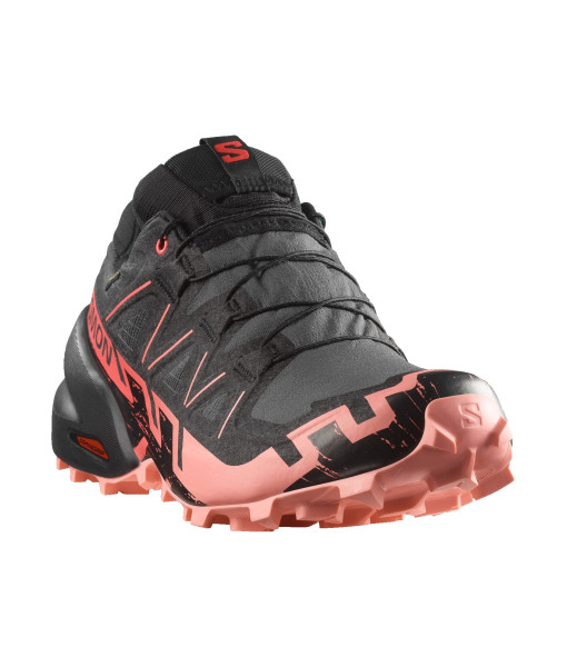 Salomon Speedcross 6 GTX Femme, Iron/Noir/Rose