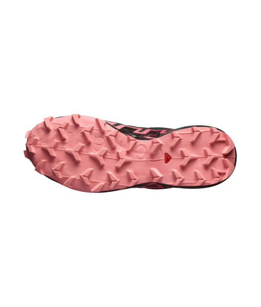 Salomon Speedcross 6 GTX Femme, Iron/Noir/Rose