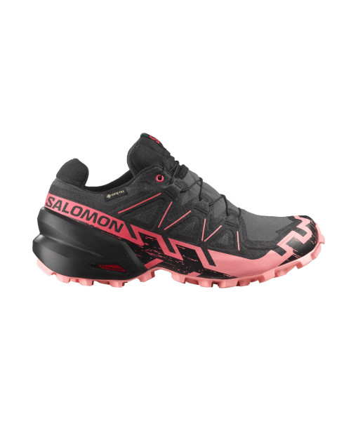 Salomon Speedcross 6 GTX Femme, Iron/Noir/Rose