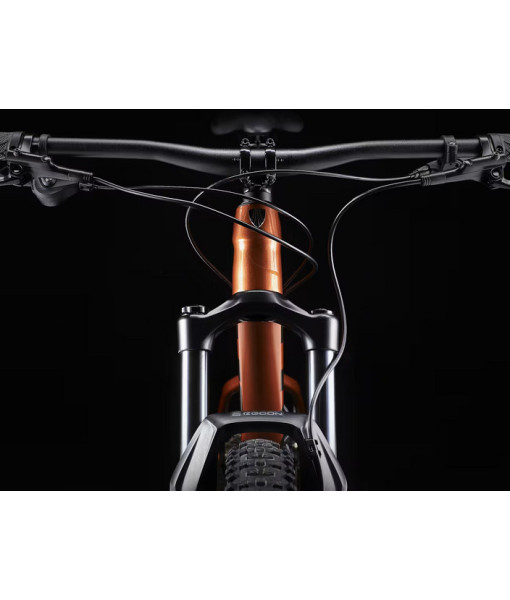 Trek Roscoe 7, PennyFlake, Medium/Large (Roues 29