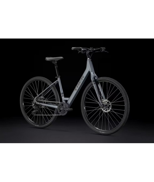 Trek Verve 2 Lowstep, Galactic Grey, Medium