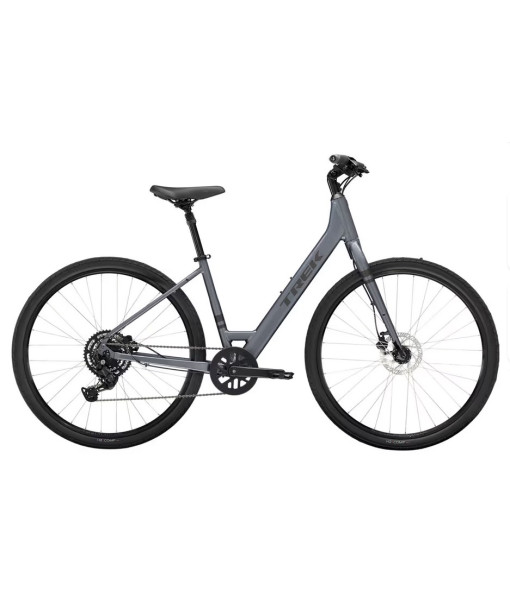 Trek Verve 2 Lowstep, Galactic Grey, Medium